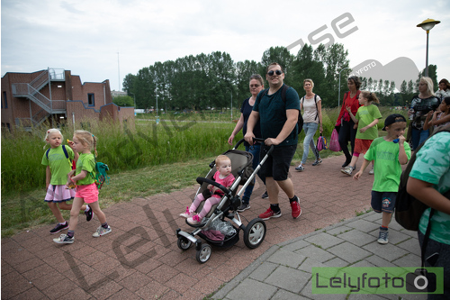 24-05-2018 19:43:42